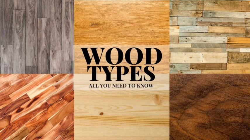 Wood Types and All you need to know - Only Oak