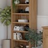 Delphinus Large Bookcase