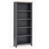 bordeaux tall bookcase