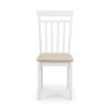 coa coa coast dining chair white cutout