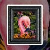 flora the flamingo jpg