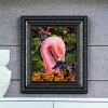 flora the flamingo jpg