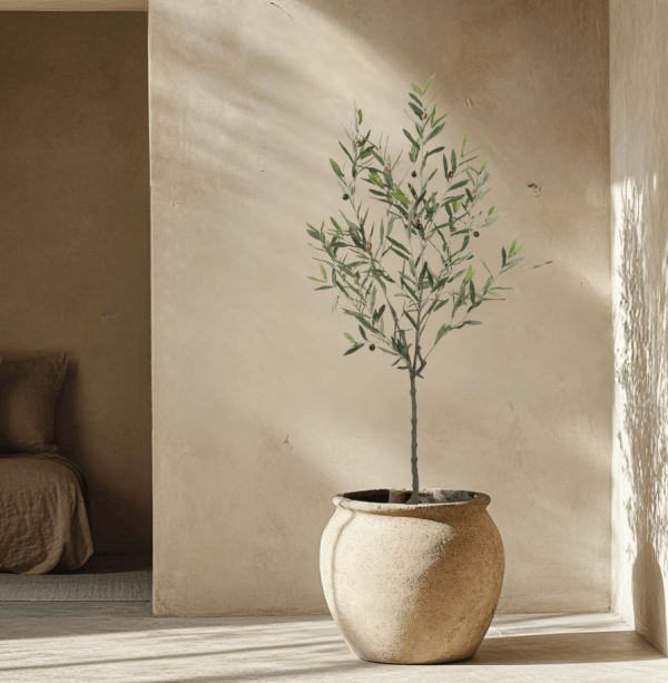 Artificial rustic olive png