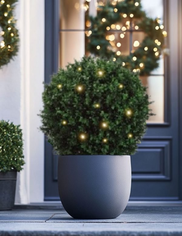 Busy Buxus Ball Christmas jpg