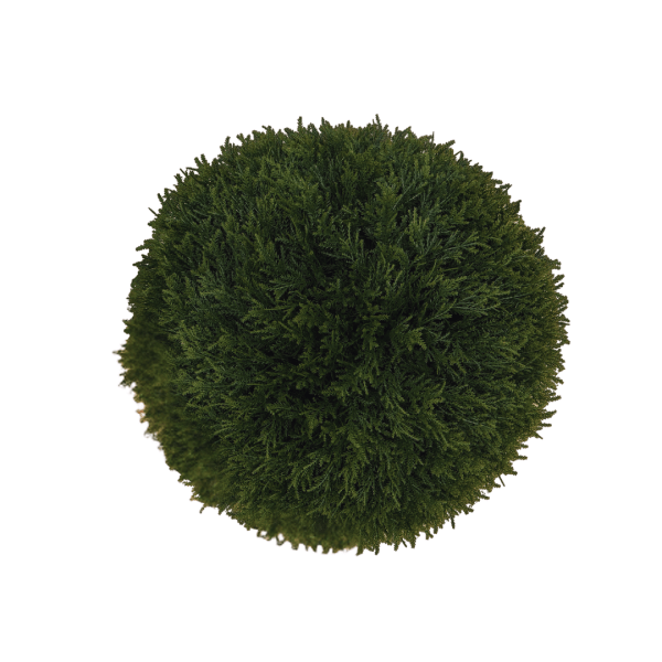 Large Conifer Ball png